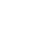 Settlement & controls icon hover